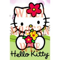 Sanrio Kitty 2
